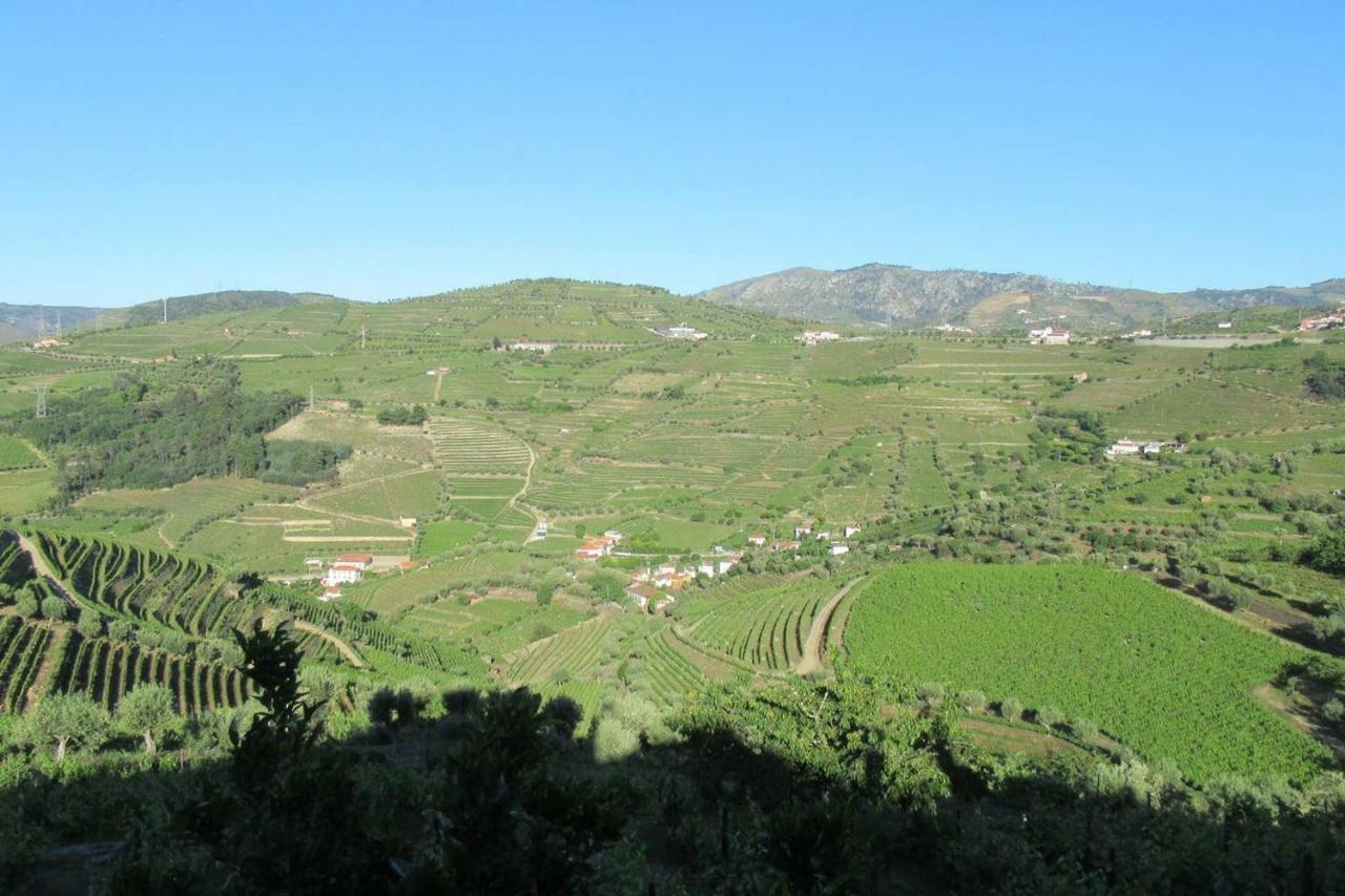Quinta Das Murtinheiras Ламего Екстериор снимка